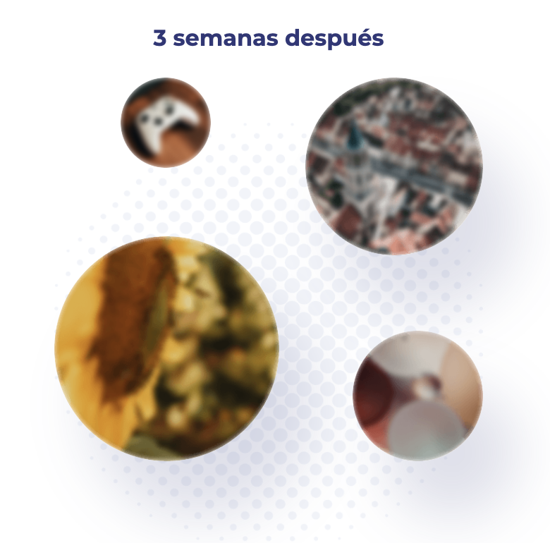 Schermata-2022-09-23-alle-17.53.12-1.png